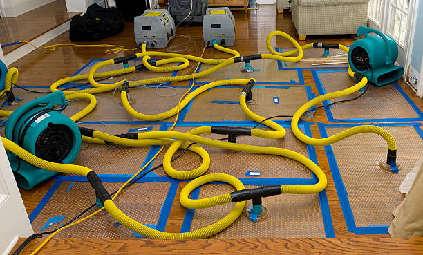 Professional Water Extraction technician working in Homer, OH
